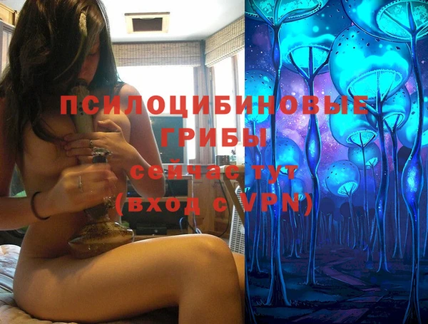 дмт Алексеевка