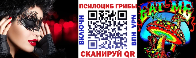 Псилоцибиновые грибы Psilocybe  где купить   Богородск 